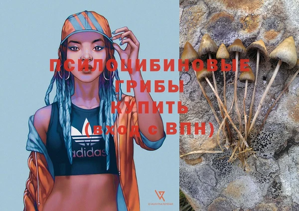 шишки Армянск