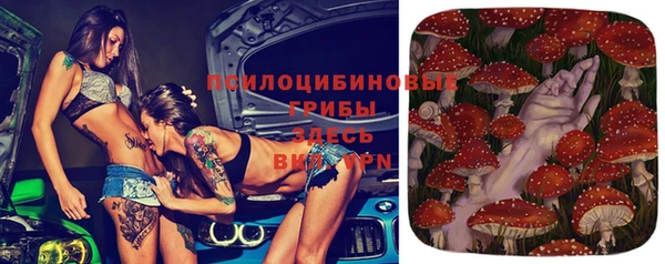 spice Аркадак